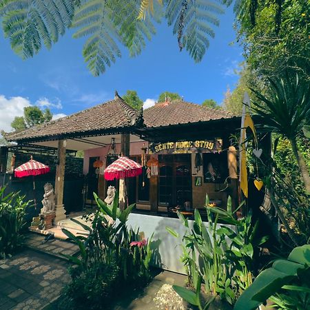 Homestay Sente Munduk  Ngoại thất bức ảnh