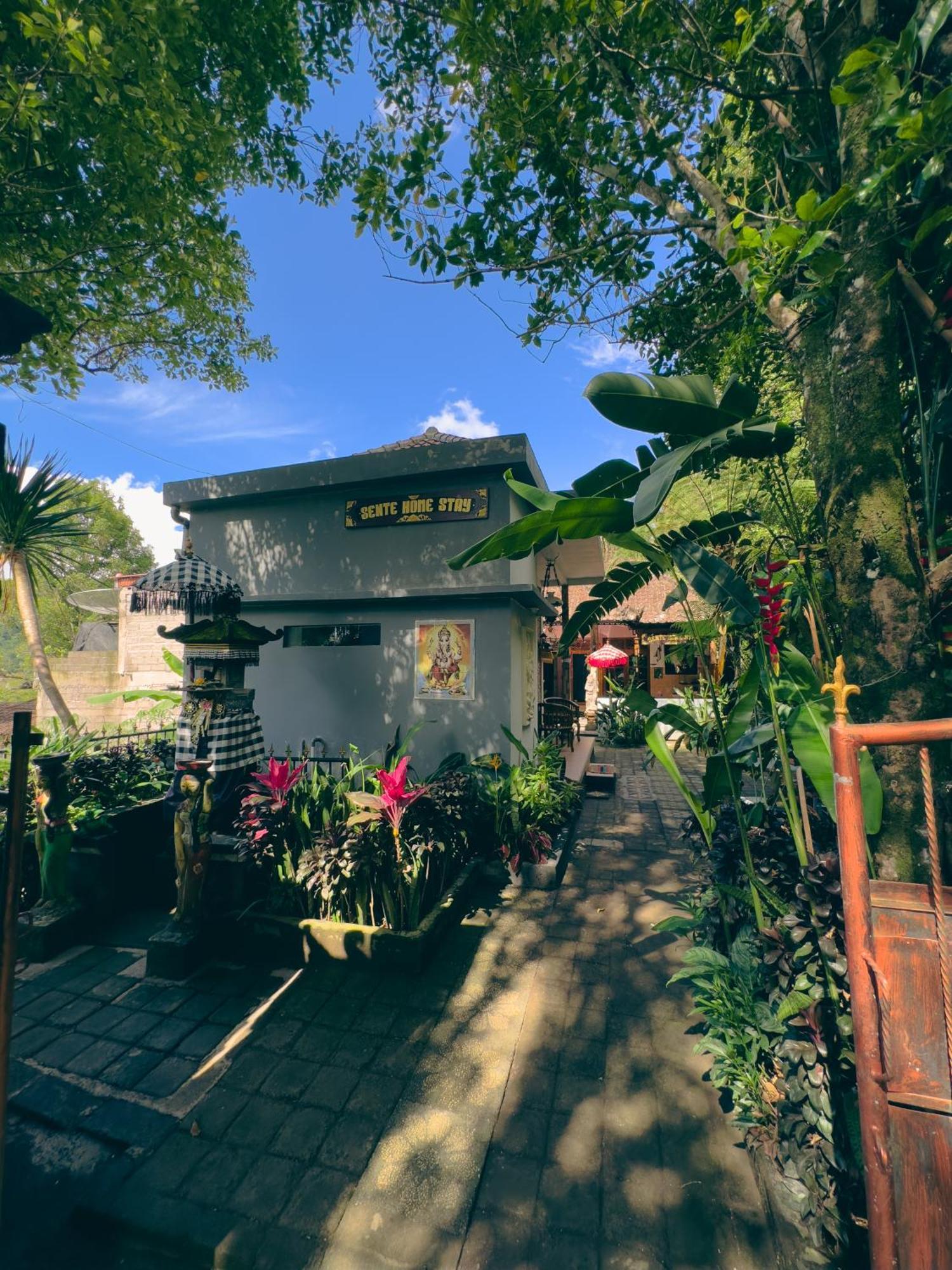 Homestay Sente Munduk  Ngoại thất bức ảnh